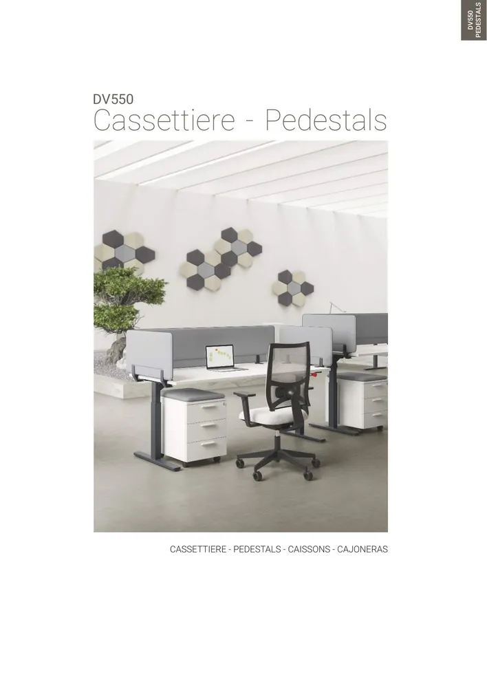DV550 Cassettiere NO PRICE